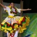 Banner Muestra folclorica