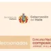 Banner - Composición
